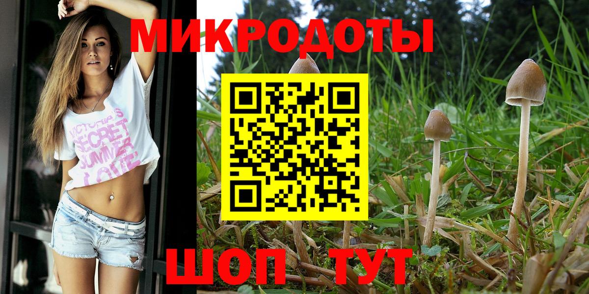 Чехов  Галлюциногенные грибы Psilocybine cubensis  Галлюциногенные грибы MAGIC MUSHROOMS  Вход с VPN 