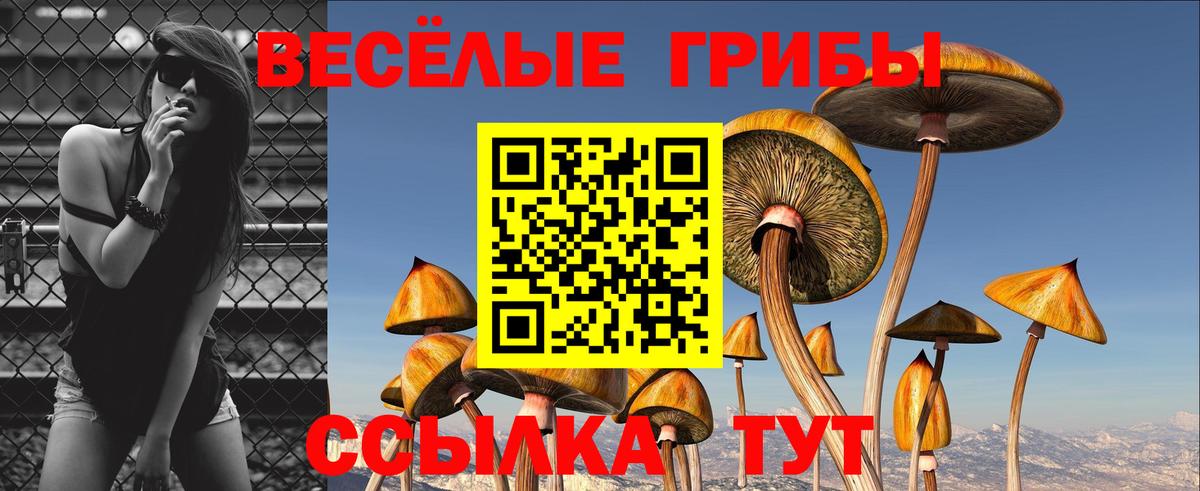 Галлюциногенные грибы прущие грибы Чехов